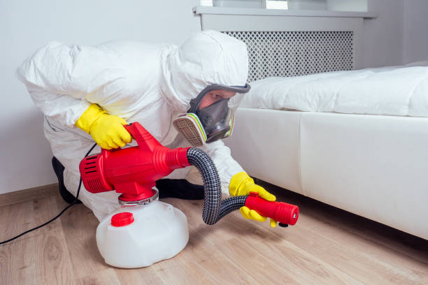 Best Local Pest Control Services  in Gladstone, MO