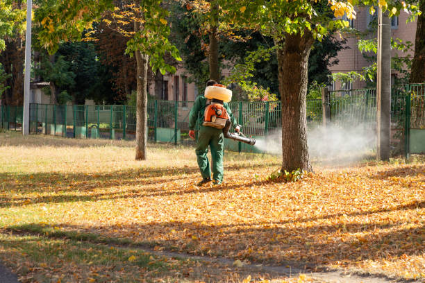 Best Pest Control Treatment  in Gladstone, MO