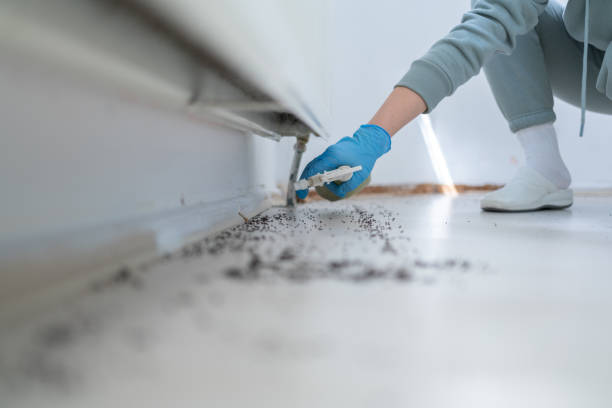 Best Affordable Pest Control Services  in Gladstone, MO