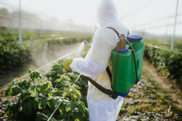 Best Pest Prevention Services  in Gladstone, MO